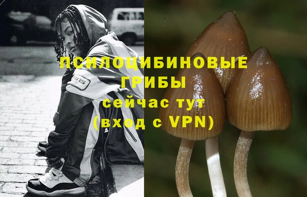 тгк Алзамай