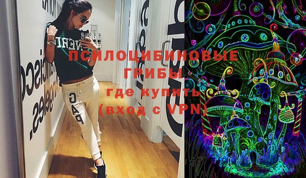 тгк Алзамай