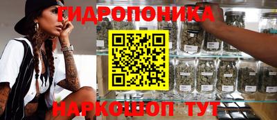 a pvp Краснодар